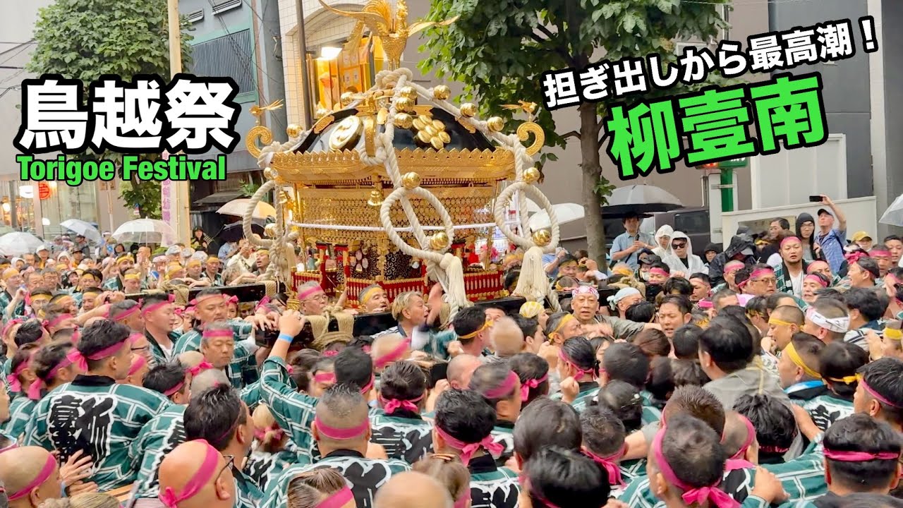 鳥越祭】熱狂！柳壹南の本社神輿渡御2026 Torigoe Festival Powerful