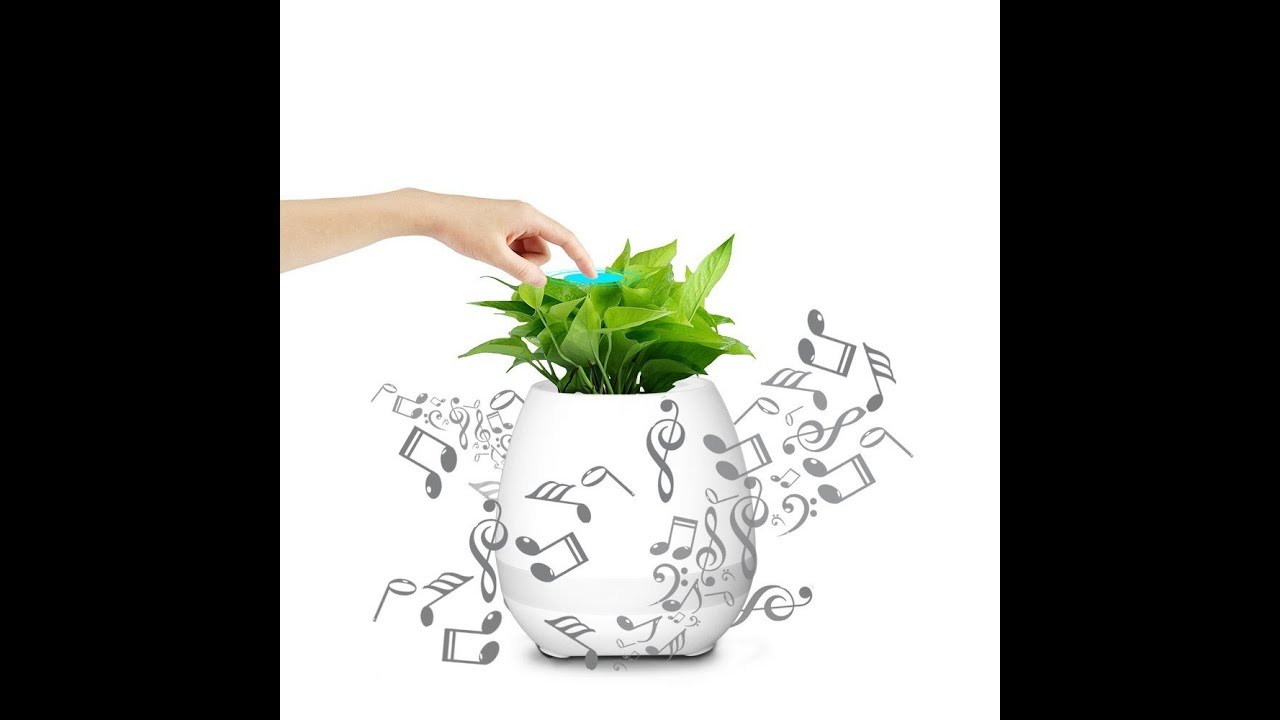 Pot de fleur musical