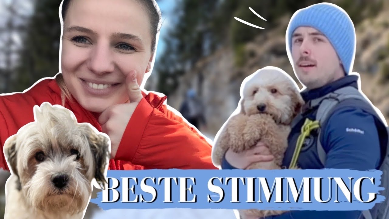 SO planen wir eine WANDERUNG MIT HUND 