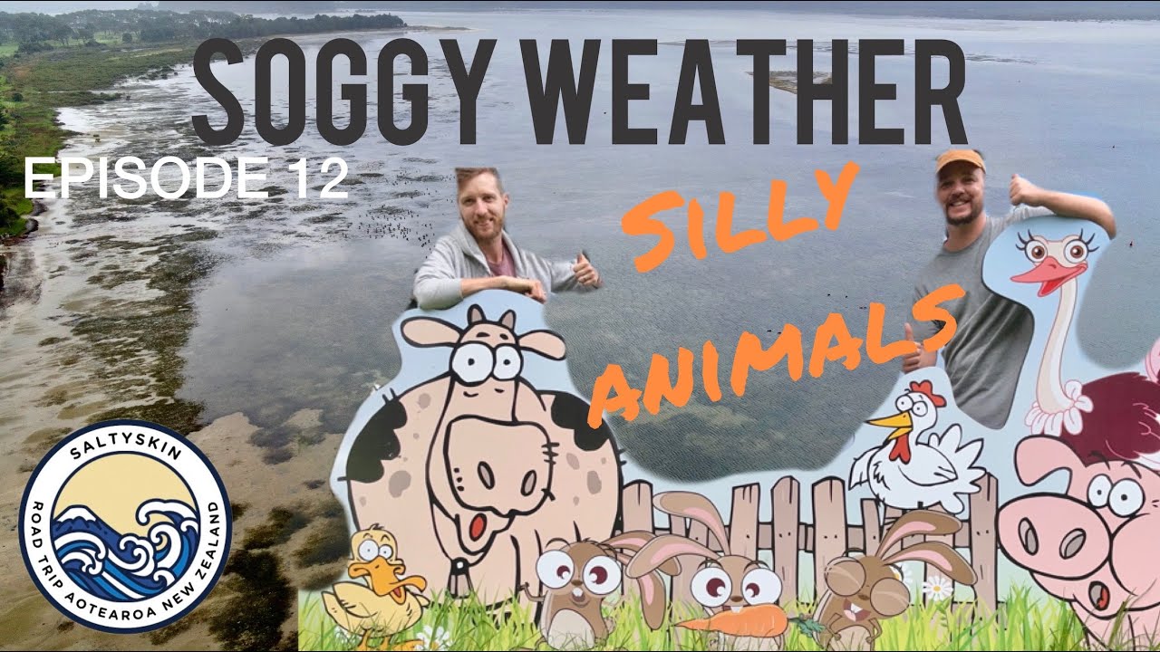 EXPERIENCE THE COROMANDEL PENINSULA NEW ZEALAND  - EPISODE 12 -  FULL TIME VAN LIFE TRAVEL