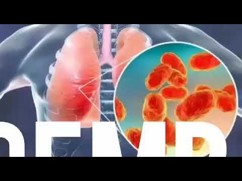 pendidikan-kesehatan