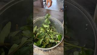 Cheap Water Spinach Salad For 5000 food foodie culinary selling Ideas