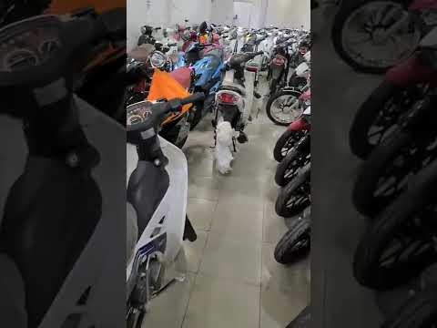 Video CH Mai Duyên tiếp tục về thêm xe 50cc SIRIUS nhiều màu... - youtube