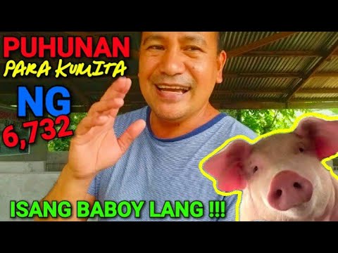 Video: Magkano ang maaari mong palaguin sa loob ng 4 na buwan?