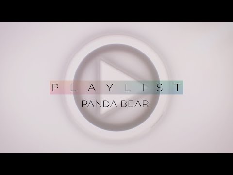 Panda Bear | Pitchfork Playlist (Full Episode)