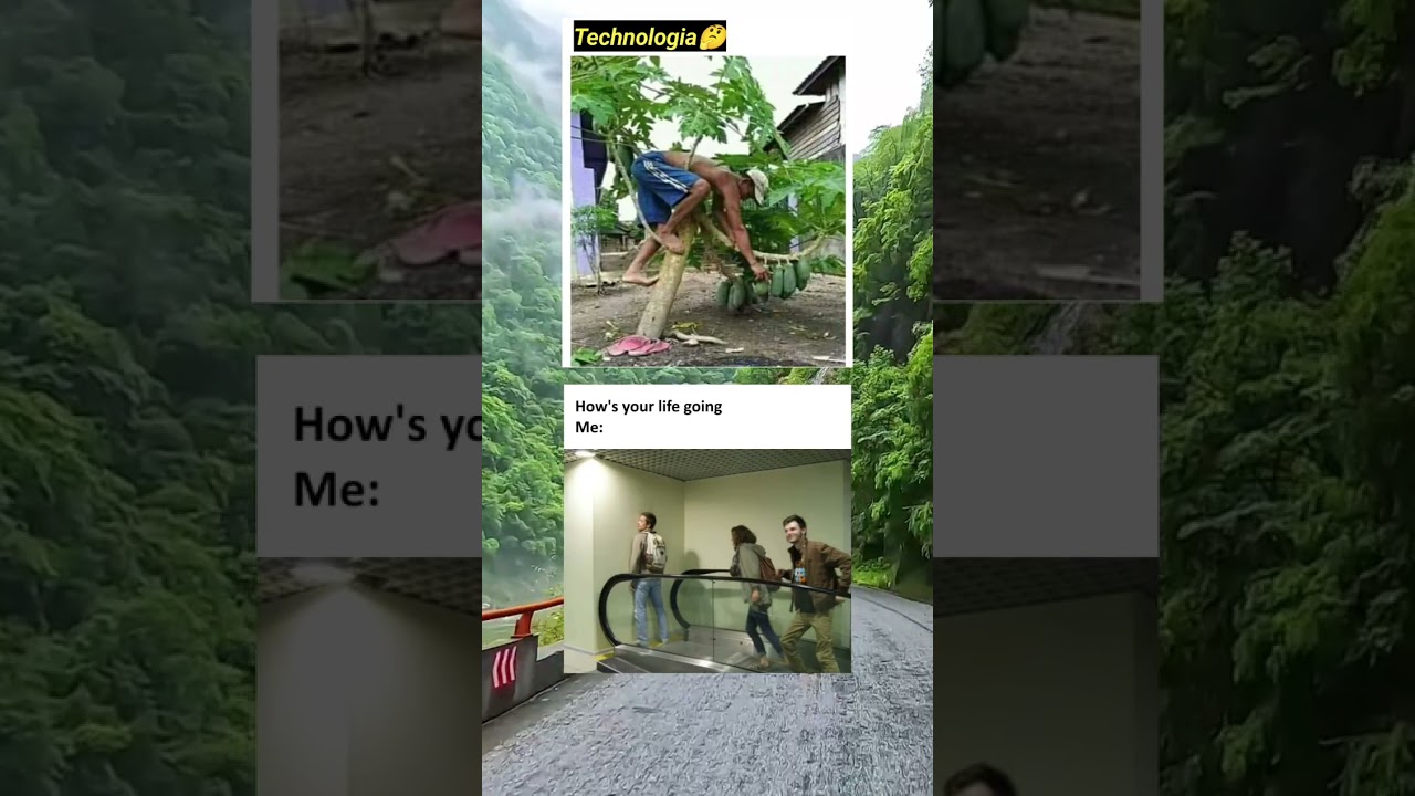 I didn’t laugh. I emotionally collapsed. 💀🤣 