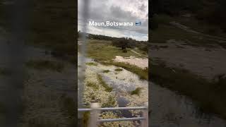 Maun is such a beautiful place #botswanatourism 🇧🇼