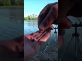 Ви таке бачили? #рибалка #риболовля #українськарибалка #fishing