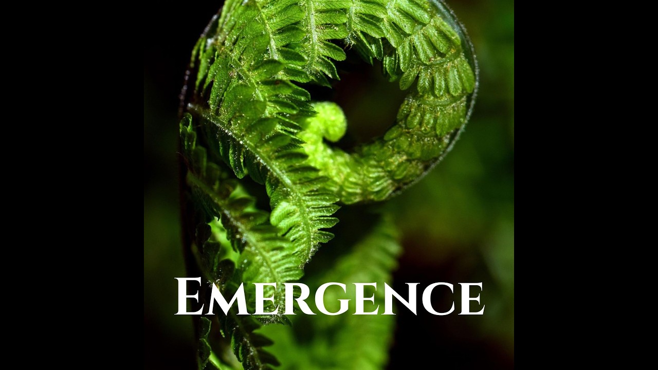 Emergence: Connecting with Spirit through the Seasons