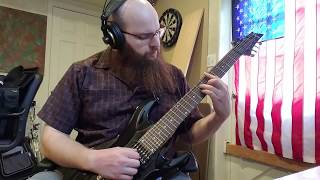 autumn leaves on a 7-string guitar