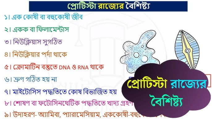 Uy qurilishi shaxsiy video fmf Mushukni suiistemol qilish haqida onlayn porno