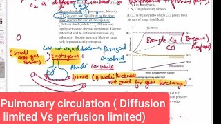 Pulmonary circulation ( Diffusion limited Vs perfusion limited) #Respiratory system 28