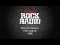 Los Santos Rock Radio (GTA V) - Alternate Playlist (PARTIALLY MUTED)