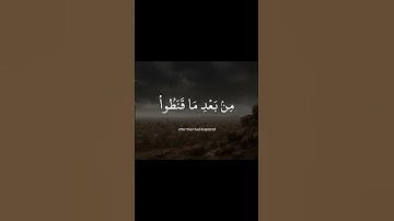 سورة الشورى الآية (٢٨)