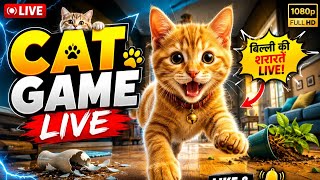 Billi Game LIVE 🔥 Cute Cat Adventure Gameplay screenshot 2