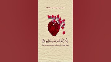 إِلا منْ أتى الله بقلبٍ سليمٍ♥️#معاذ_صيام#quran#راحة_نفسية#تلاوة_خاشعة#قرآن