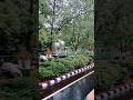 vizag monsoons #youtube #vizag #trending #youtubeshorts #rain #visakapatnam#beauty #nature#explore