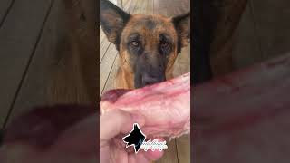 Introducing cow femur bones by Fido Fuels! These 4" femur bones are packed with a generous amount of