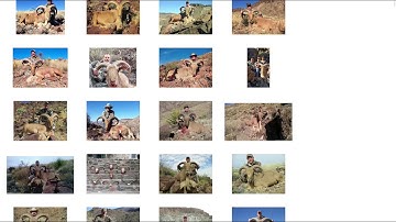 3plains CMS: Editing Page Content