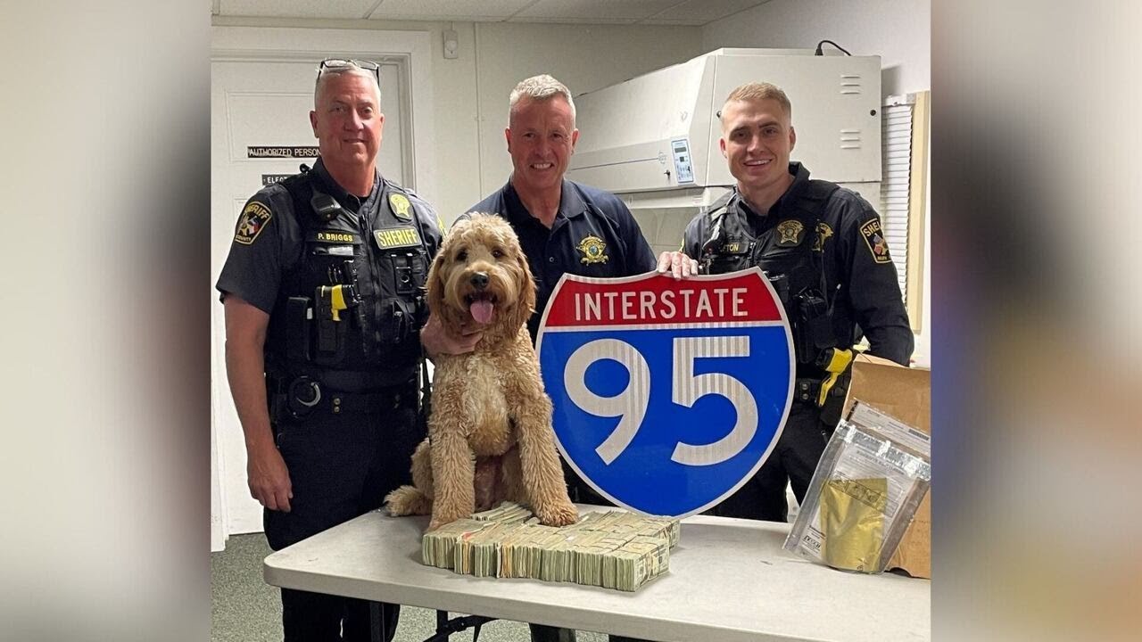 Nash County Drug Bust - YouTube