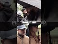 Muslim says Amen To Christian Couple’s Bible Quote! Abu Isa