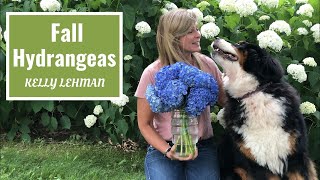 Fall Hydrangeas | Kelly Lehman
