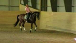 Dressyrträning20100714.mp4