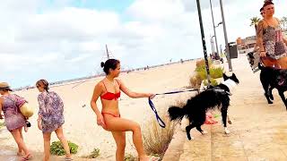 Day In Valencia Beach - Spain Amazing August 2023 | Pinedo Beach | Part 9 | Walking 4K