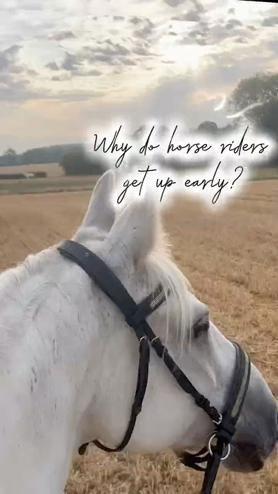 Why Horse Riders Get Up Early 🌅 | Sunrise Ride with My Bitless Horse