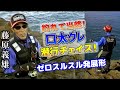 【藤原義雄】釣れて当然！口太グレ潜行チェイス！「ゼロスルスル発展形」【グレ釣り　磯釣り】