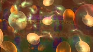Sonic Federation -  Arrival at the Village