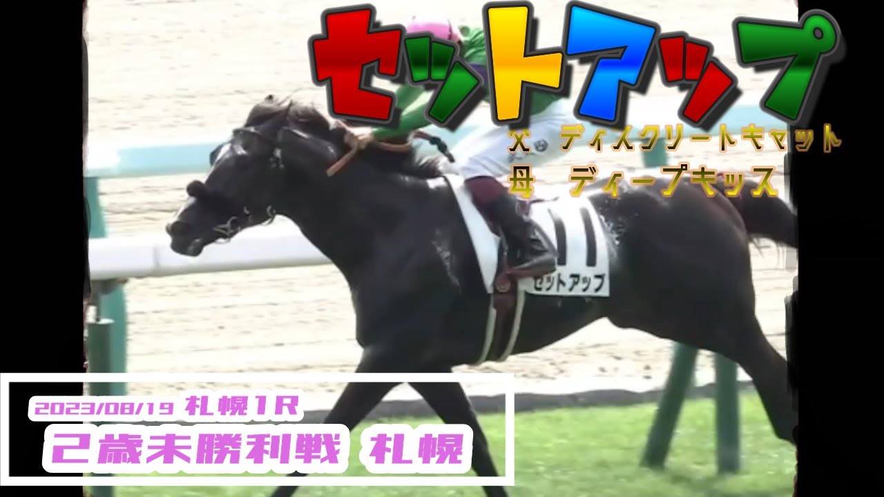 2023/08/19【パドック返し馬つき】札幌1R　２歳未勝利戦　☆セットアップ　デクラレーションオブウォー　＃レースは10分ころから