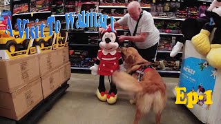 A Visit To Walmart by In Memory of Cary Gamble. 29 views 1 year ago 4 minutes, 39 seconds
