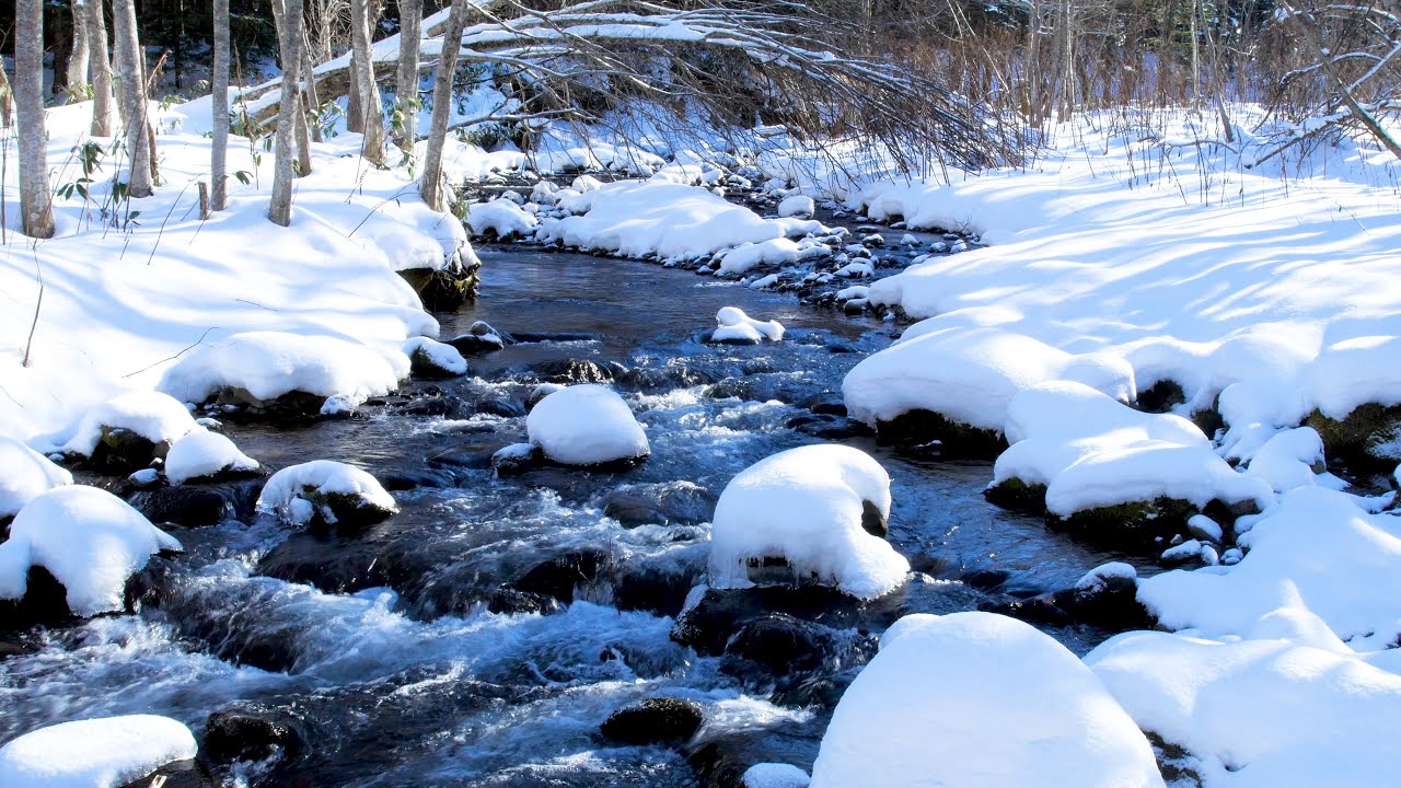 Peaceful Snowy River Sounds ❄️ Winter Stream | Forest Stream Sounds | White Noise for Sleep, Relax.