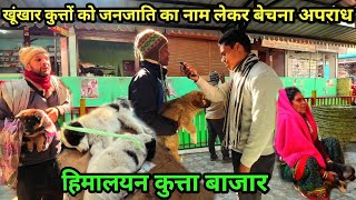 हिमालयी कुत्ता बाजार !!Himalayan Mastiff dogs market!! उत्तरायणी मेला बागेश्वर !!Mountain dog breeds