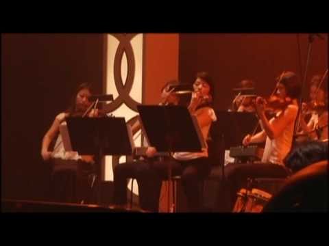 島谷ひとみ　　I will     (Live   2006)