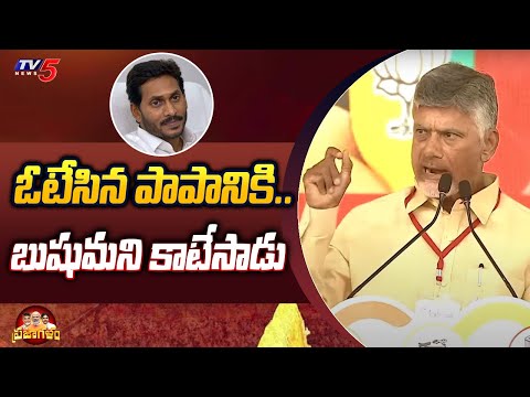 ఓటేసిన పాపానికి.. బుషుమని కాటేసాడు | Nara Chandrababu Satirical Comments On YS Jagan | TV5 News - TV5NEWS