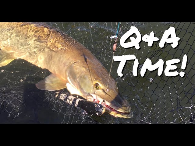 The BEST MUSKY SWIM BAITS! Underwater footage throwdown! 