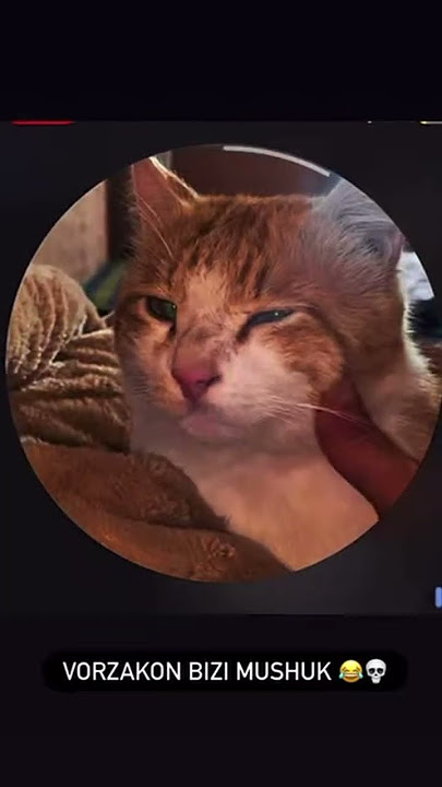 Pussy sikga ishqalaydi Dunyodagi eng pornografik kurortlarni onlayn tomosha qiling