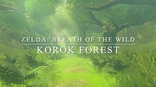 Zelda Breath of the Wild: Korok Forest - Orchestral Cover chords