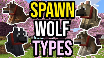 How To SUMMON All WOLF VARIANTS In Minecraft Java & Bedrock!