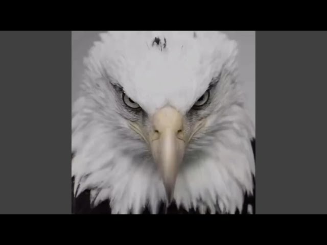 FORGOTTEN CHILD (Super Slowed Version)