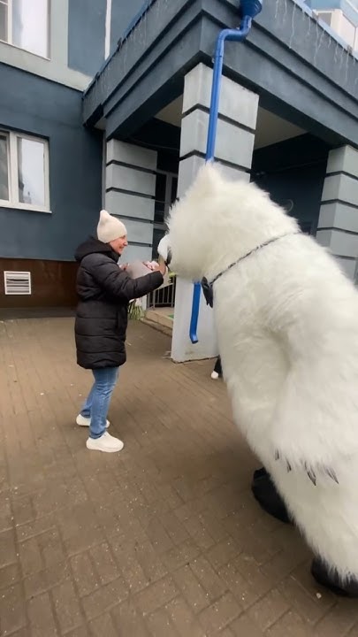 Мишка Пломбир 💓 - YouTube