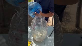 Agua de mazapán