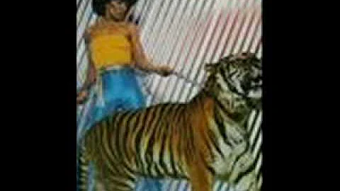 Maxine Nightingale - Lead me On