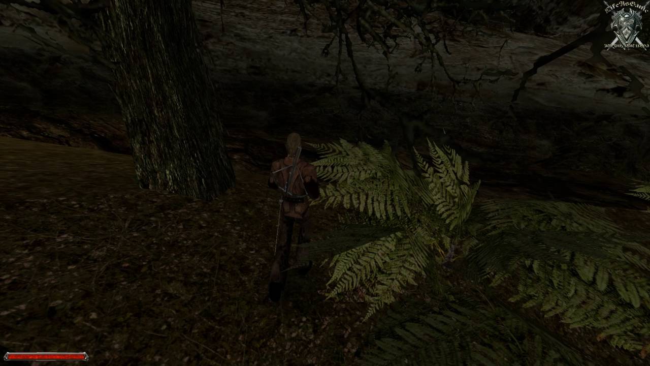 готика 2 мертвая гарпия. готика 2 восточный лес. драконий корень готика. драконий корень готика. готика 2 драконий корень.