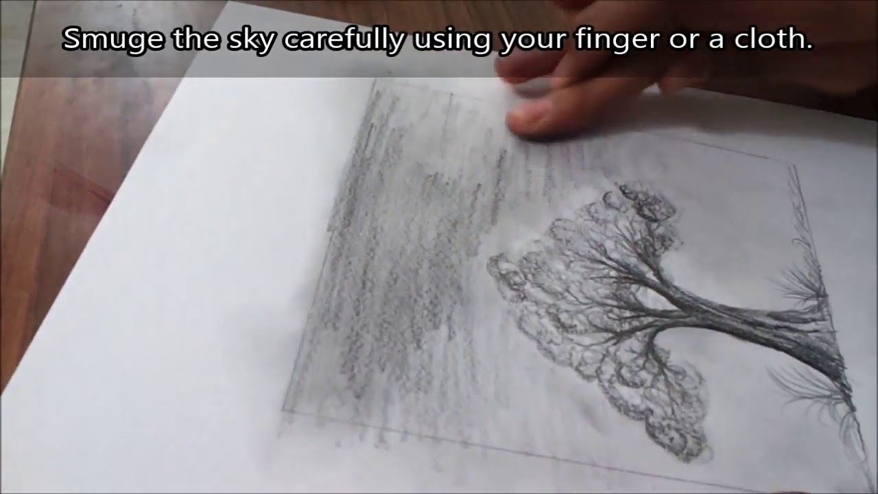 Learn Pencil Shading - A Tree - For Beginners. - YouTube