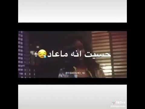 دايلر ستوريات انا اسف
