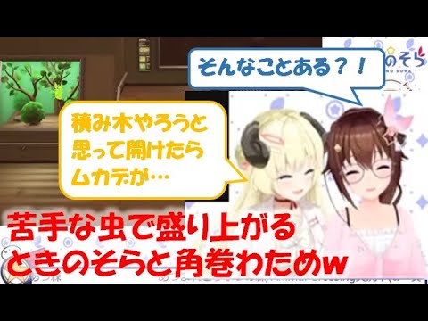 苦手な虫で盛り上がるときのそらと角巻わためw【ときのそら/角巻わため切り抜き】