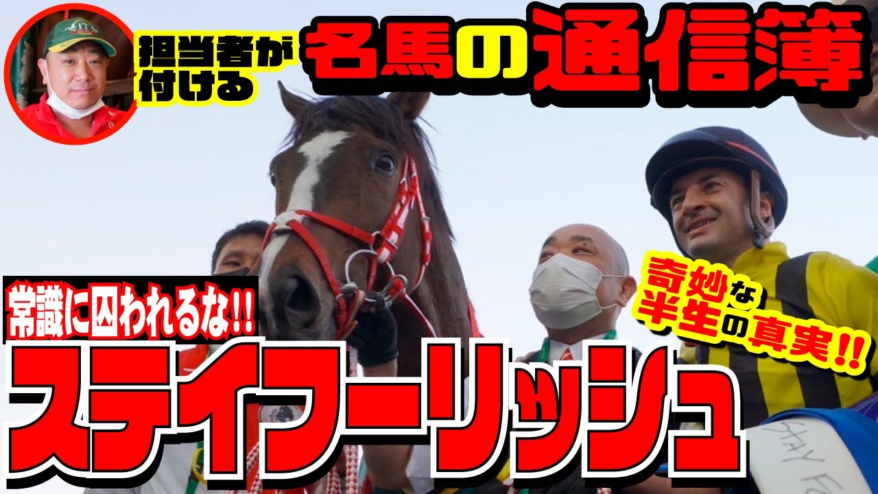 ステイフーリッシュの常識に囚われない5年間【松浪大樹のMコラ】担当者がつける名馬の通信簿・第２回は中東で輝いたステイフーリッシュ